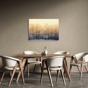 Sklenený obraz mrazivého lesa (70x50 cm)