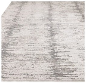 Koberec 160x240 cm Anders Grey – Asiatic Carpets