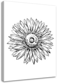 Obraz na plátně Květinová skica černá a bílá - 70x100 cm