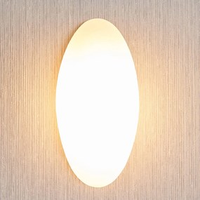 Sklenené nástenné svietidlo Jemima elipsovitý tvar