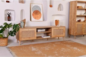 Stojan na televízor Hazeran Oak