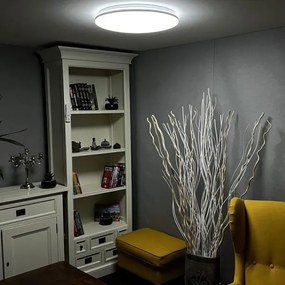 LED Stmievateľné stropné svietidlo  LED/48W/230V 2700-6500K Wi-Fi Tuya + DO