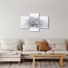 Obraz - Biela zima (90x60 cm)