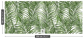 Fototapeta Vliesová Palmové listy 152x104 cm