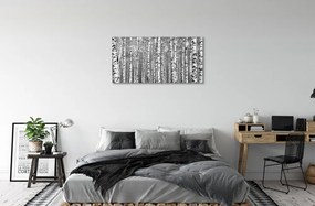 Obraz canvas Čierna a biela strom 125x50 cm