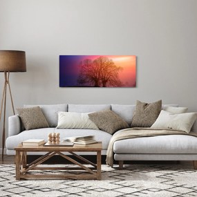 Obraz stromov v hmle (120x50 cm)