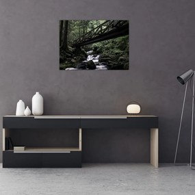 Sklenený obraz z čierneho lesa (70x50 cm)