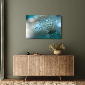 Obraz - Púpava - petrolej (90x60 cm)