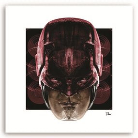 Gario Obraz na plátne Červený hrdina - Rubiant Rozmery: 30 x 30 cm