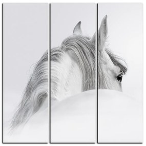 Obraz na plátne - Andalúzsky kôň v hmle - štvorec 3219B (75x75 cm)