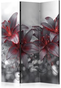 Artgeist Paraván - Shadow of Passion [Room Dividers]