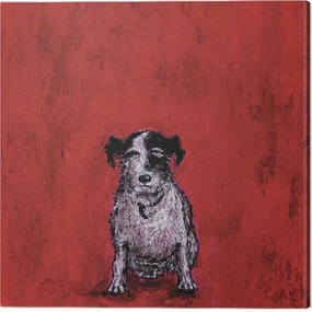 Obraz na plátne Sam Toft - Small Dog, (40 x 40 cm)