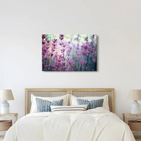 Obraz - Levanduľa (90x60 cm)