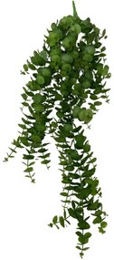 Zelený visiaci eukalyptus 81cm