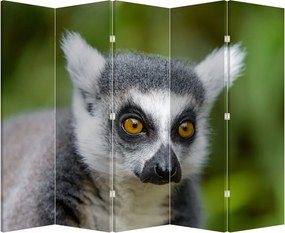 Paraván - Lemur (210x170 cm)
