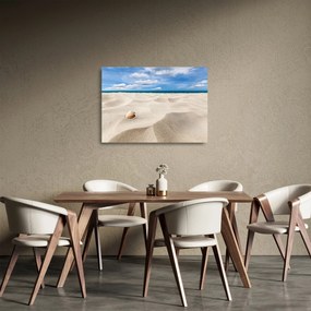 Sklenený obraz - Mušle na pláži (70x50 cm)