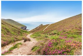 Fototapeta Vliesová Atlantik cornwall 312x219 cm