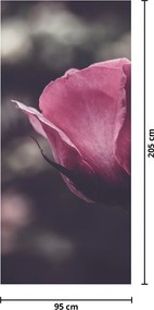 Fototapeta na dvere - Detail kvetu ruže (95x205cm)