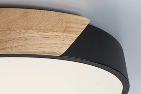 Rabalux 71416 - LED stropné svietidlo MAPLE2 LED/24W/230V 4000K priemer 41 cm