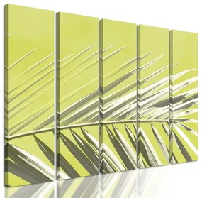 5-dielny obraz list palmy na zelenom pozadí