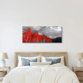 Obraz - Stromy vo farbe jesene (120x50 cm)