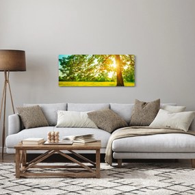 Obraz - Slnečný les (120x50 cm)