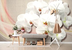 Tapeta biela orchidea na plátne - 450x300