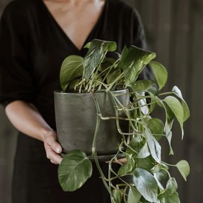 Kvetináč Moss L, s miskou / sivozelený