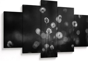Obraz - Cottongrass na lúke (150x105 cm)