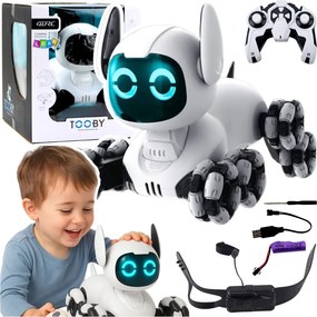 LEAN Toys Robotický pes TOOBY s diaľkovým ovládaním RC, 360°, svetlá, zvuky, čierno-biely
