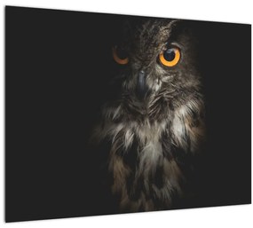 Sklenený obraz sovy (70x50 cm)