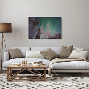 Obraz polárna žiara nad zamrznutými stromami (90x60 cm)
