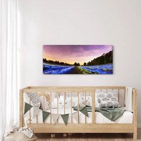 Obraz farebného poľa (120x50 cm)