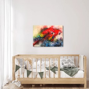 Obraz červených papagájov ara (70x50 cm)
