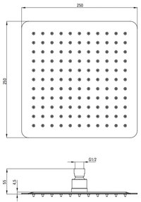 Deante Cascada, nerezová dažďová sprchová hlavica 250x250 mm, čierna matná, DEA-NAC_202K