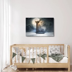 Obraz - Magické zrkadlo (90x60 cm)