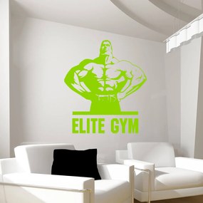 Veselá Stena Samolepka na stenu na stenu Elite Gym Farba: černá