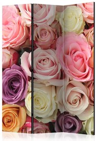 Artgeist Paraván - Pastel roses [Room Dividers]
