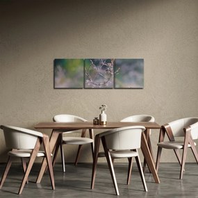 Obraz - Detail traviny (s hodinami) (90x30 cm)