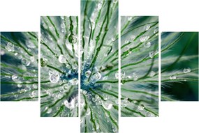 Obraz - Makro snímka kvetu (150x105 cm)