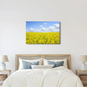 Obraz žltého poľa (90x60 cm)