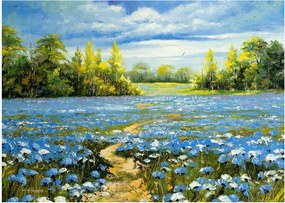 Obraz - Cestička v poli, olejomaľba (70x50 cm)