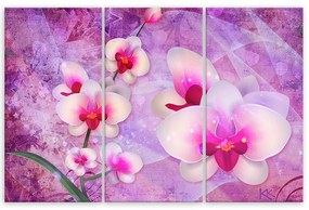 Obraz na plátně třídílný, Abstrakce orchidejí - 120x80 cm