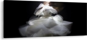 Obraz kvetu lotosu (120x50 cm)