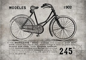 Fototapeta - Bicykel (Vintage) 300x210 + zadarmo lepidlo