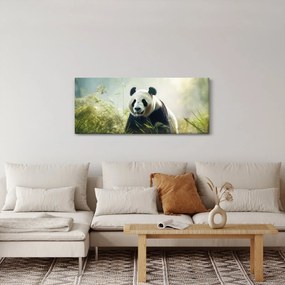 Obraz - Panda (120x50 cm)