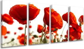 Obraz na stenu 4 dielny KVETY XOBKV118E41 - 80x40 cm