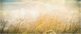 Obraz - Pole na jeseň (120x50 cm)