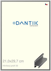 DANTIK rám na obraz 21x29,7 | ALU Ocelová (Sklo Čiré)