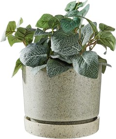 PLANT Kvetináč s miskou 20 cm - šedá